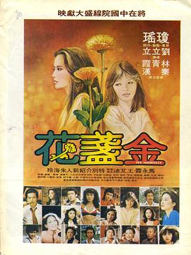 金盏花1980